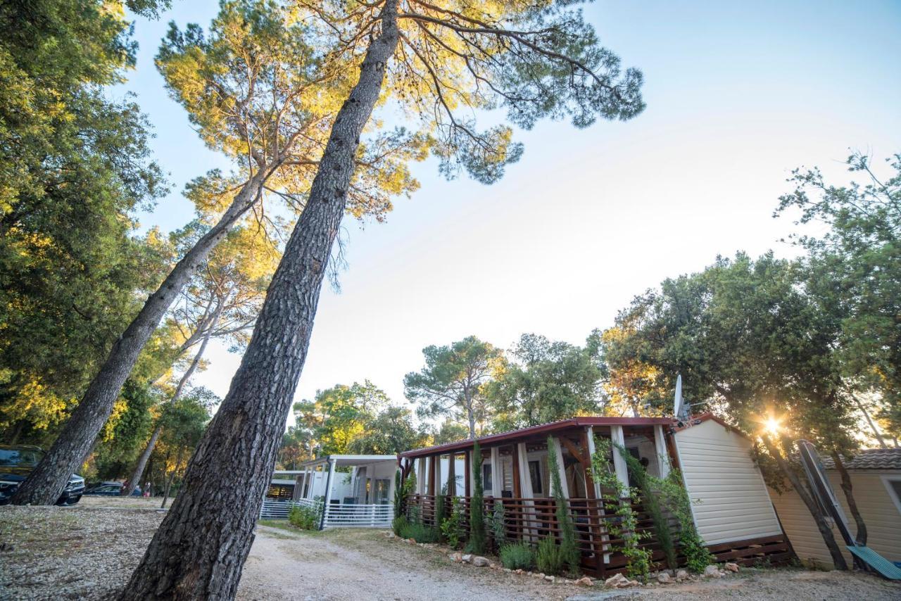 Mobile Home Cube, 3 Bedrooms, Free Parking, Wifi Biograd Na Moru Dış mekan fotoğraf